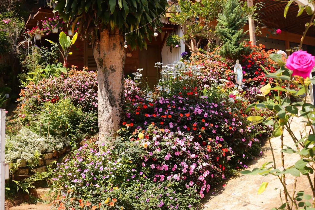 Soul Pnb Homestay Da Lat Esterno foto