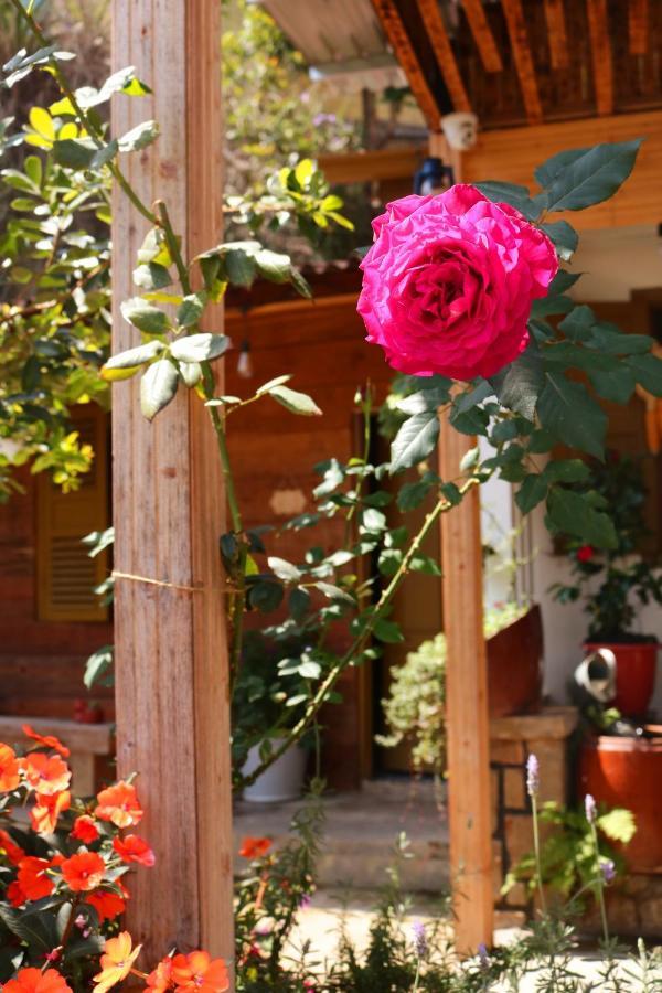 Soul Pnb Homestay Da Lat Esterno foto