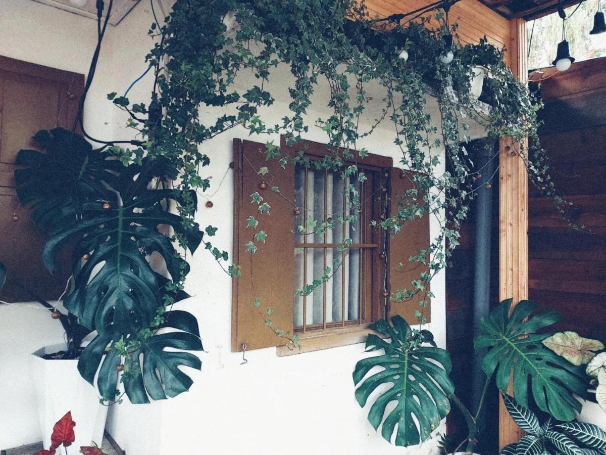 Soul Pnb Homestay Da Lat Esterno foto